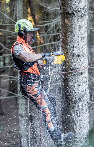 DEWALT